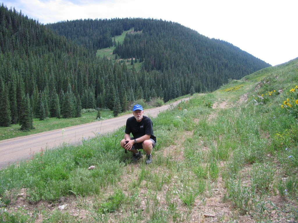 DONKEEBLERPASS