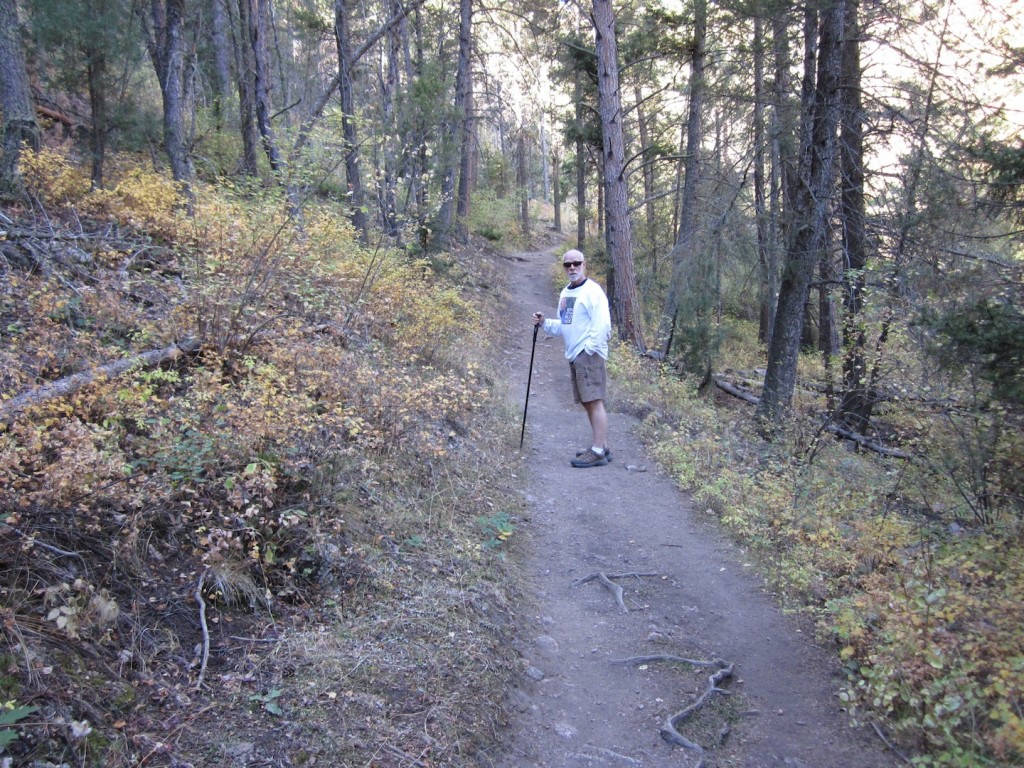 ZEN HIKE #2